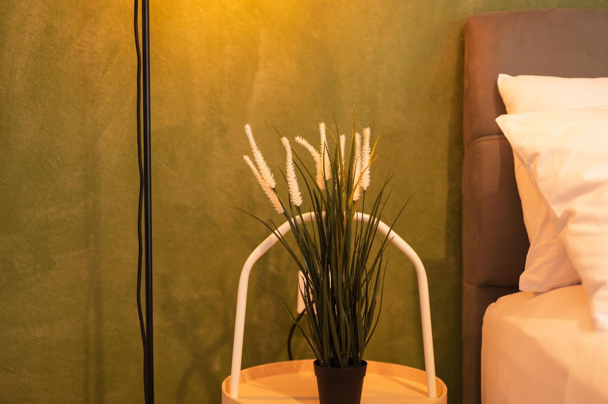 Ancient Forest Suite By Heeaven'S Hall Luxury Suites Alexandroupoli Exterior photo
